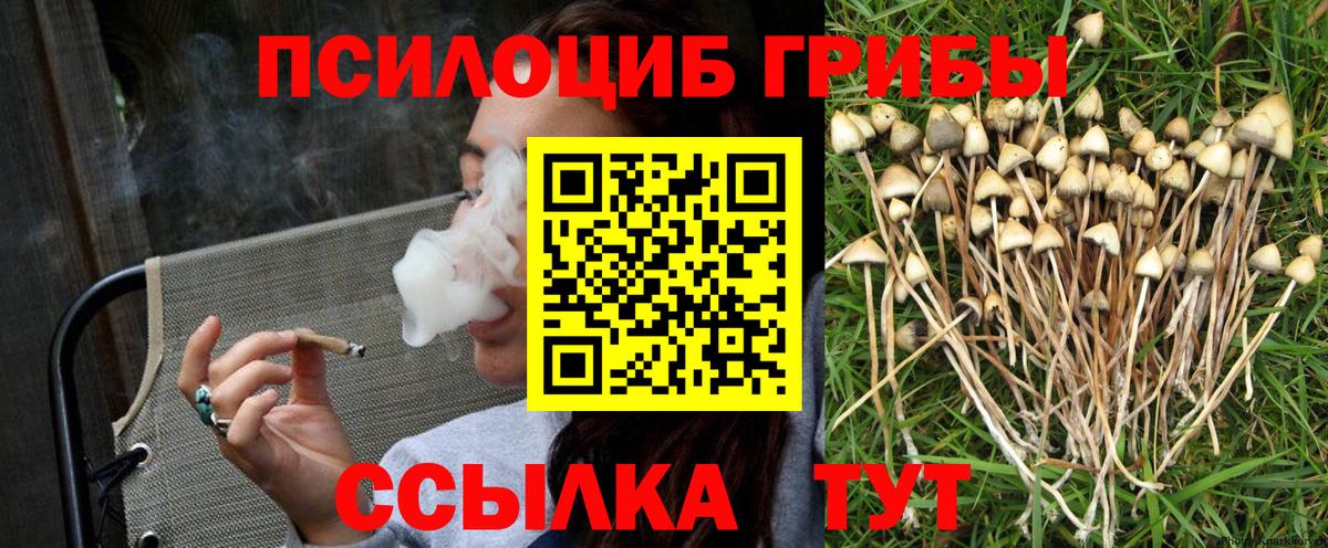 Псилоцибиновые грибы Psilocybine cubensis Валуйки